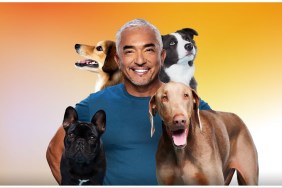 Cesar Millan: Better Human Better Dog Season 3 streaming