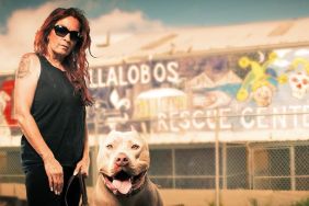 Pit Bulls & Parolees Season 7 streaming